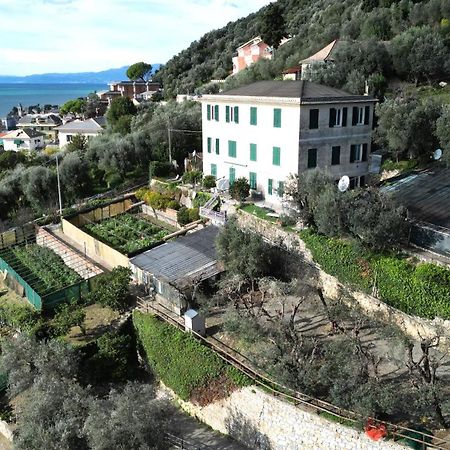 Cav Gli Ulivi Di Bogliasco Villa Exteriör bild