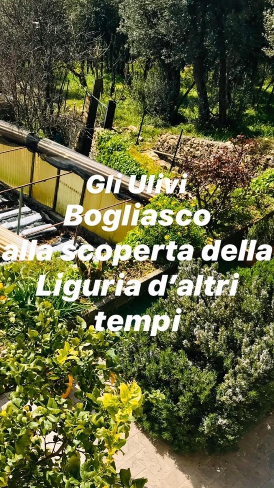 Cav Gli Ulivi Di Bogliasco Villa Exteriör bild