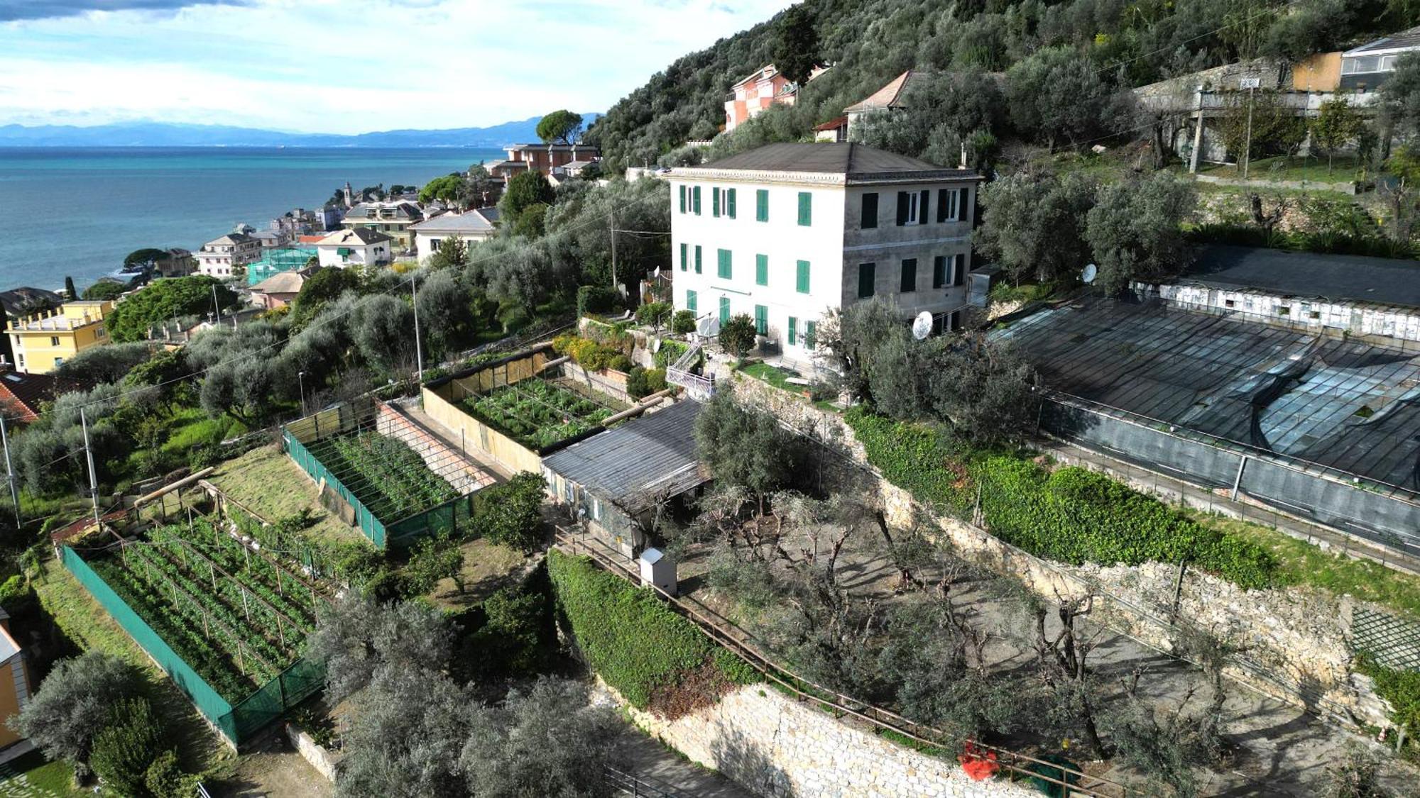 Cav Gli Ulivi Di Bogliasco Villa Exteriör bild