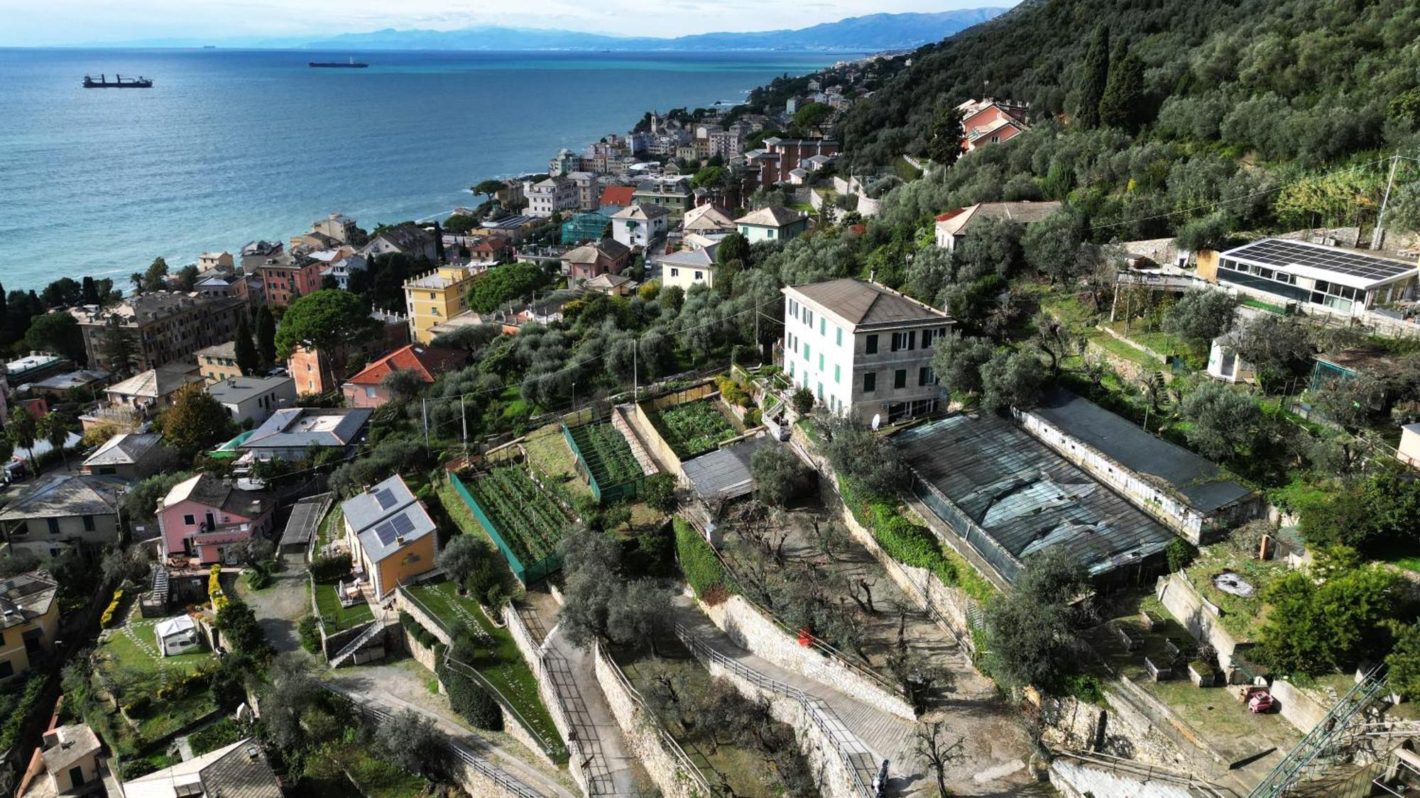 Cav Gli Ulivi Di Bogliasco Villa Exteriör bild